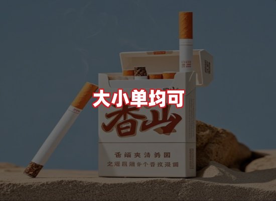 专业团队